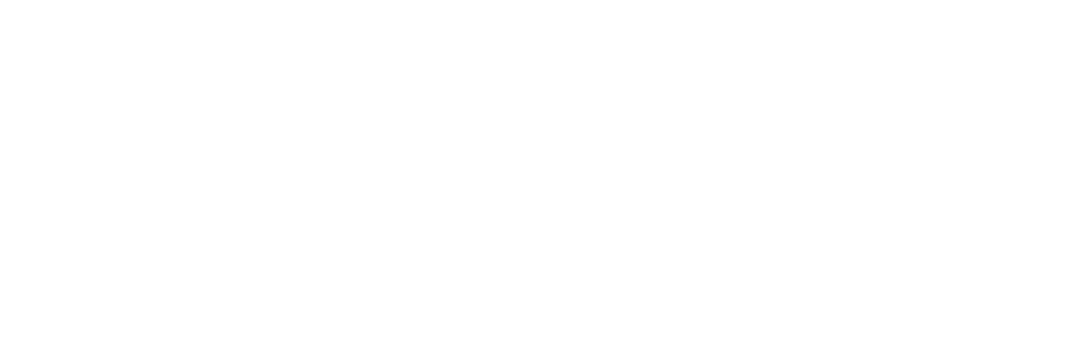 FMT Logo White No BG Horizontal FMT Logo White No BG Horizontal